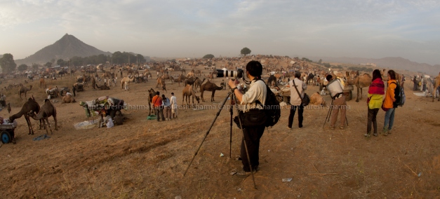 photographer-at-pushkar-pano_img_0223