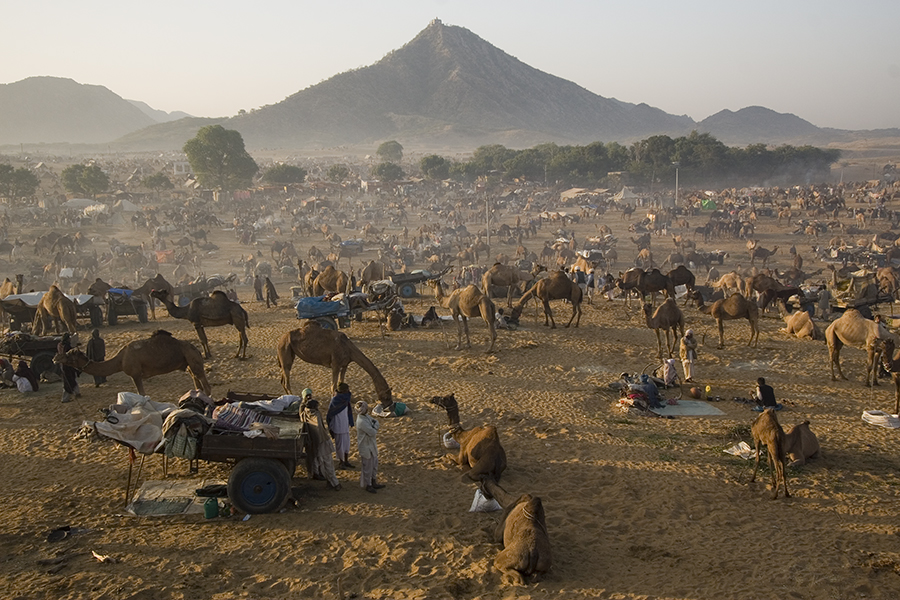 <img src="best escorted photo tour of pushkar cattle fair.jpeg" alt="offbeat guided curatedunique experience photo tour of pushkar cattle fair best photography opportunities star trails, milkyway, light painting  taurus overlanding campervan caravan camp at pushakr rajasthan india"> 