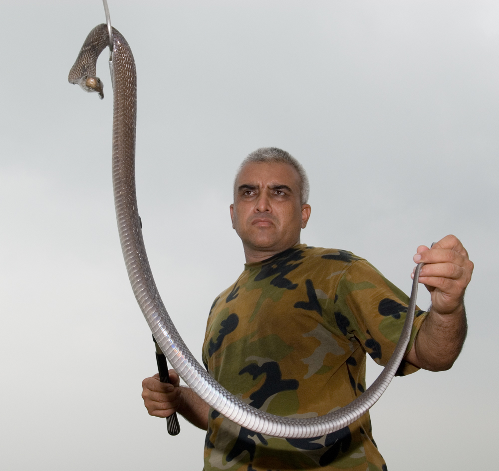 <img src="capt suresh sharma with cobra" alt=" capt suresh educated nature conservation through snakes and snakebite first aid best photo tour in india for snake photography">      