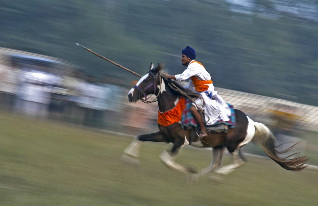nihang sikh warrior riding a horse at anandpur sahab during hola mohalla in punjab.