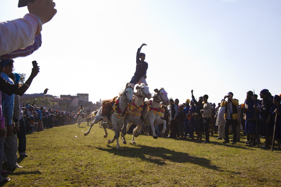 Nihang Sikh Horse rider Hola Mohalla, Punjabi Culture