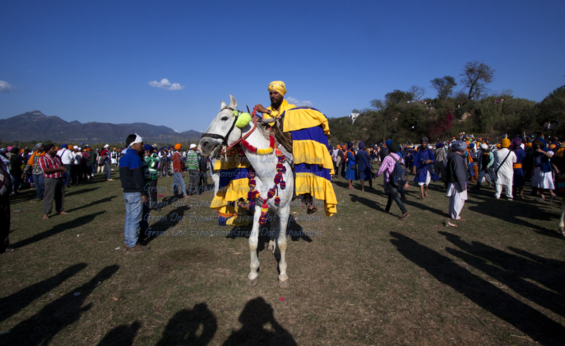 nihang traditional dress on a horse at hola mohalla in anandpur saha in punjab.