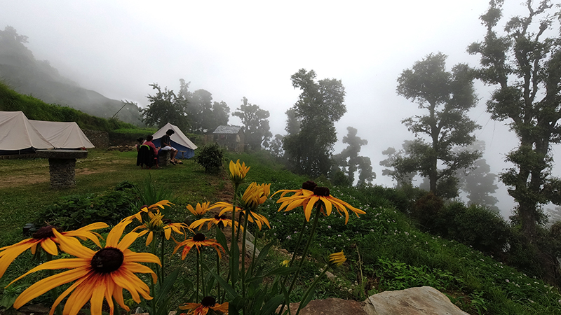 offbeat nomadic holiday for families couples outdoor experience camp to relax unwind quiet place at secluded locations barot valley in himachal pradesh.
