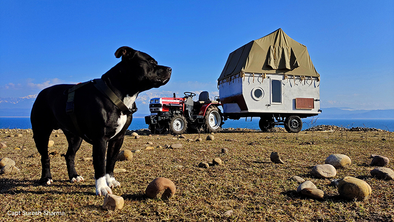 pet friendly caravan and camping trailer around pong dam at offbeat location for family holidays with campervan himachal pradesh.