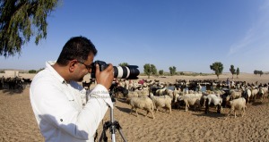 <img src="best photo tour kutch gujarat.jpeg" alt="very special and best photo tour photography workshop in kutch gujarat exclusive road trip wilderness pristine virgin sand dunes comforts of camp border offbeat holidays romantic vacation sun temple modhera">  