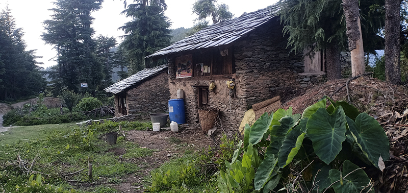 rural holidays in barot valley yoga in himachal for offbeat locations with nature camp corona safe holiday social distancing.